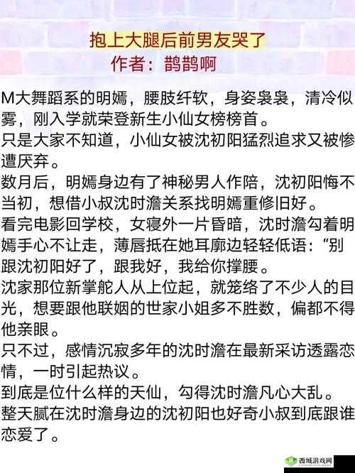 深入浅出小说之沈初阳的精彩故事