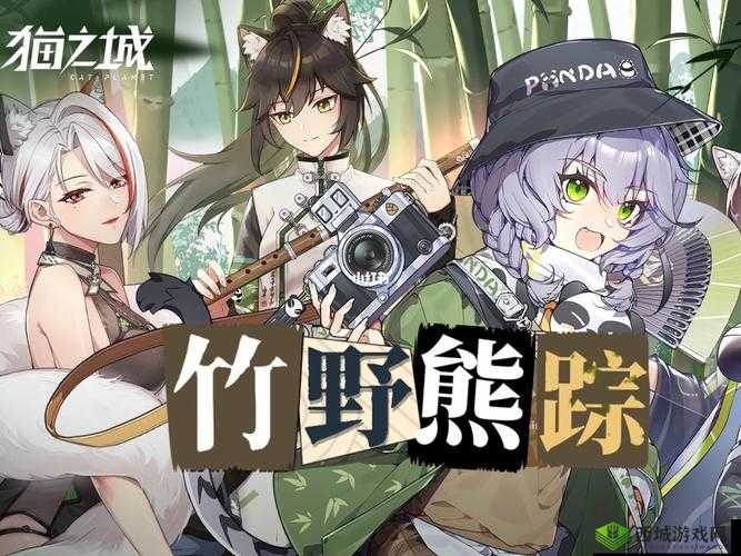 猫之城竹野熊踪活动开启倒计时:神秘熊踪何时现身?