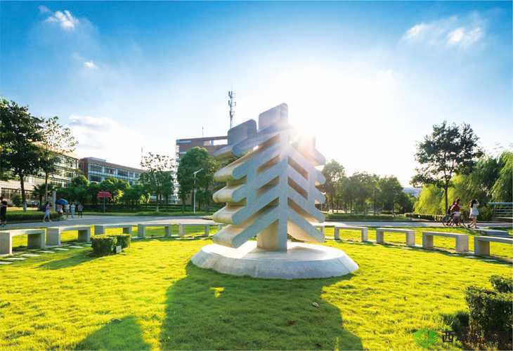 日本大学三年级:开启新征程