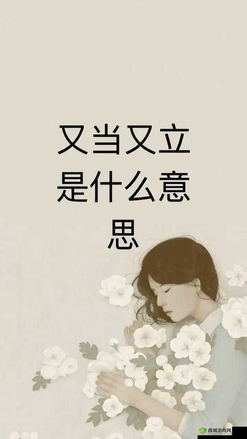 又当又立图片：言行不一的典型示例