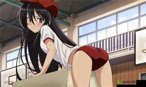 尾巴漫画入口页面免费弹窗:畅享精彩漫画无界