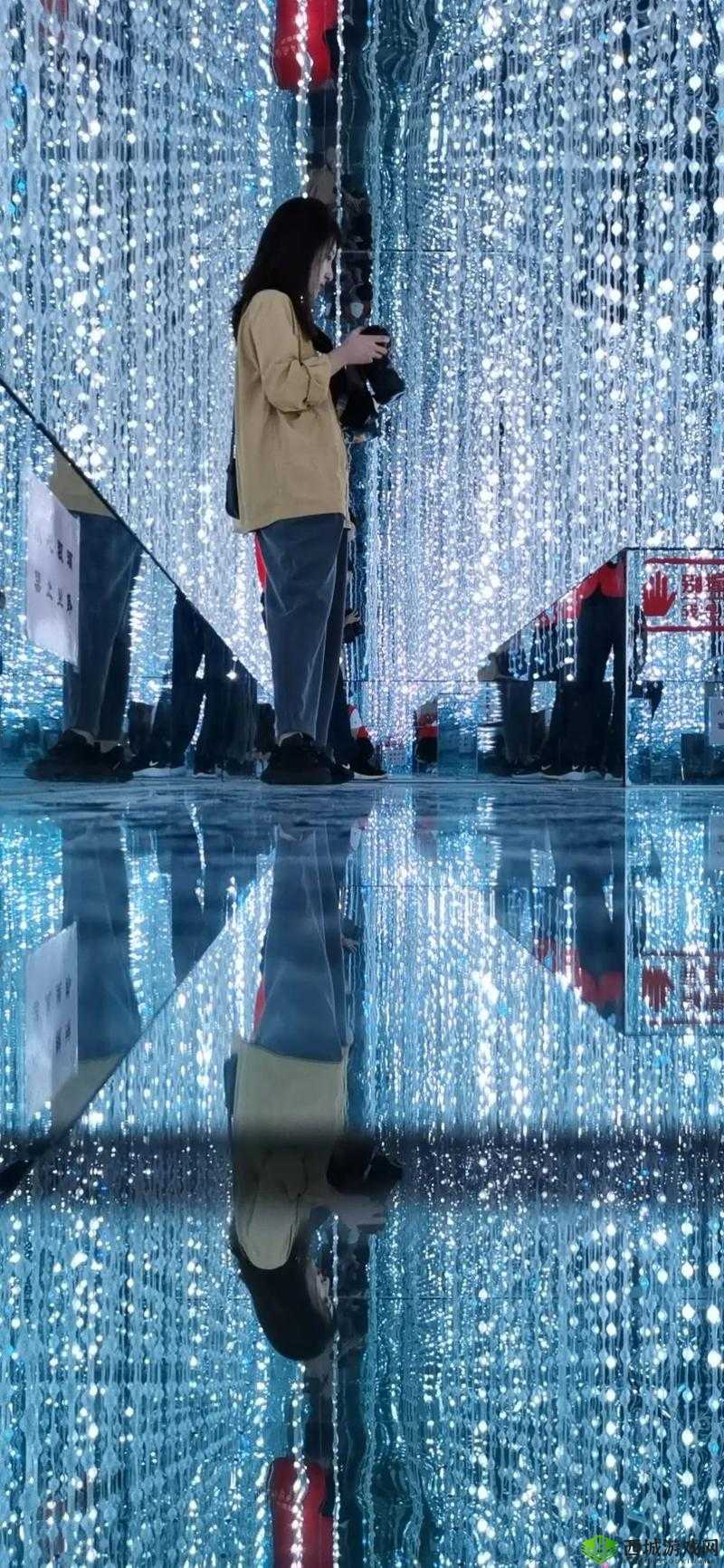 攀枝花寻梦星娱乐有限公司：开启娱乐新篇章