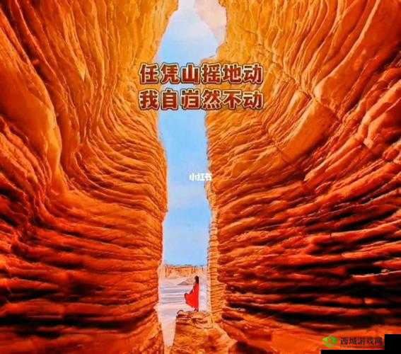 夹缝求生臣言:朝堂风云变幻,他如何抉择