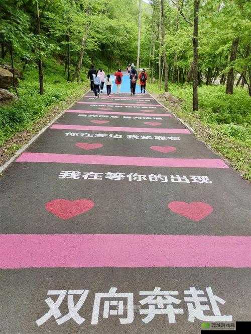 爱情路线测试二免费:全新测试等你来探索