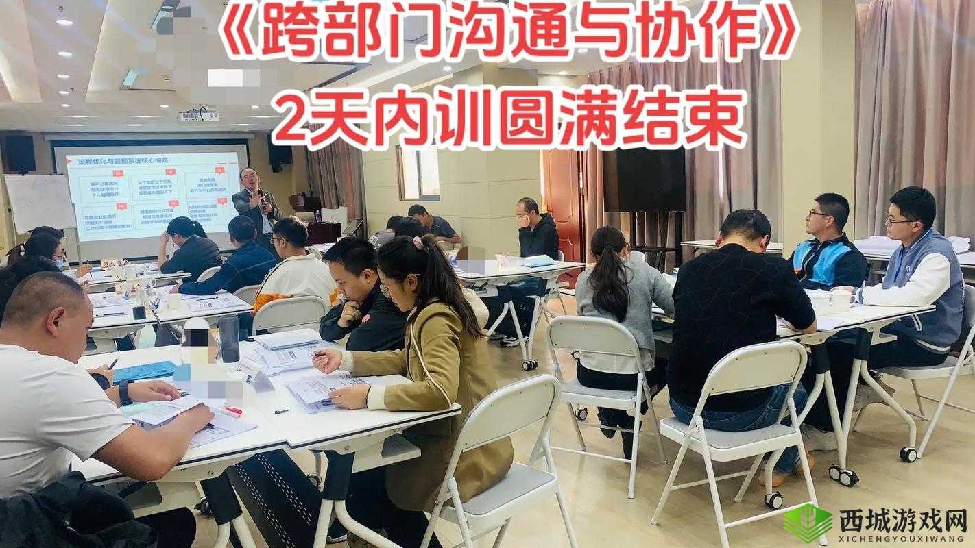 丰年经继拇中文 2 使用技巧:高效沟通与协作