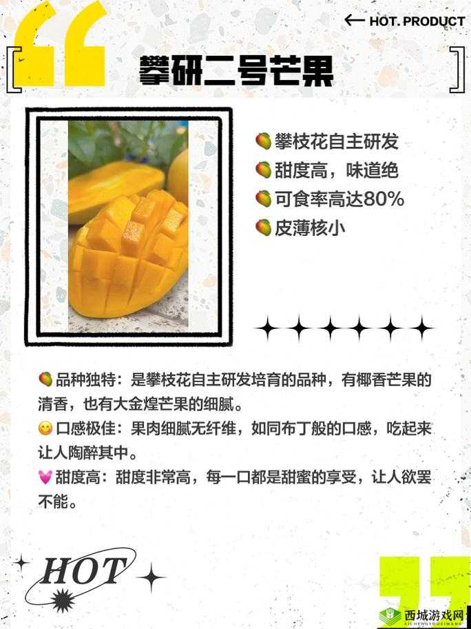 大香煮芒果 2023 大象新增的功能:详细介绍