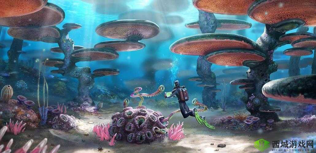 x9x9x9x9 任意槽 2024 国外：探索未知的世界