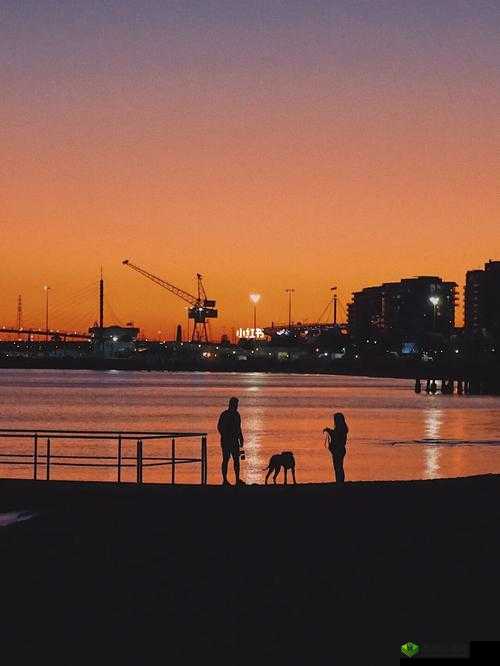 天天想你今夜无人入眠杨光:心灵的倾诉