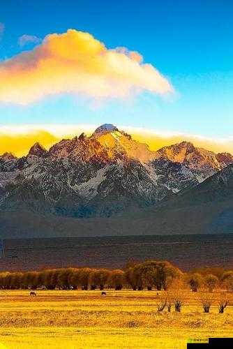 探寻神秘南疆：如何捕捉妖巫？揭秘南疆妖巫捕捉点位分享