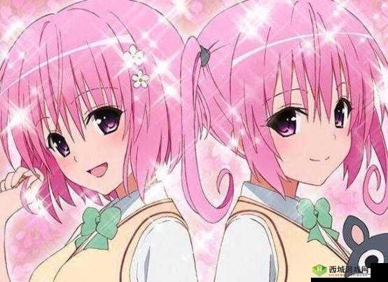 共生双胞胎:生命的奇妙羁绊