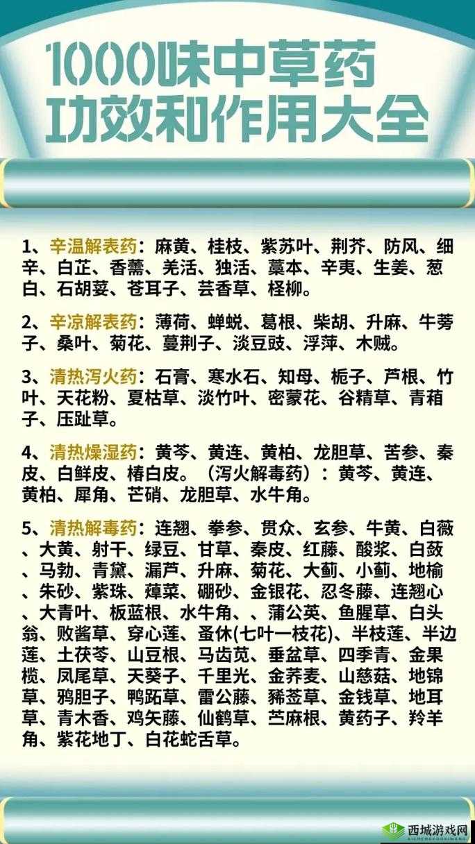 一吃就硬的草药：功效与作用介绍