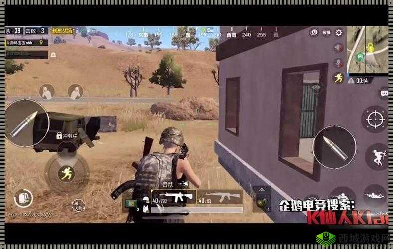 B站刺激战场户外直播 a 站：荒野求生大挑战