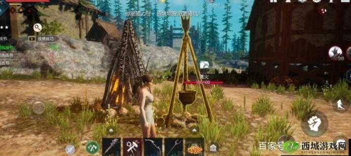 《黑暗与光明手游》干草丛获取攻略：探寻干草丛的位置与获取方法全解析