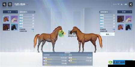 诺亚之心：高质马匹的获取与培养之道