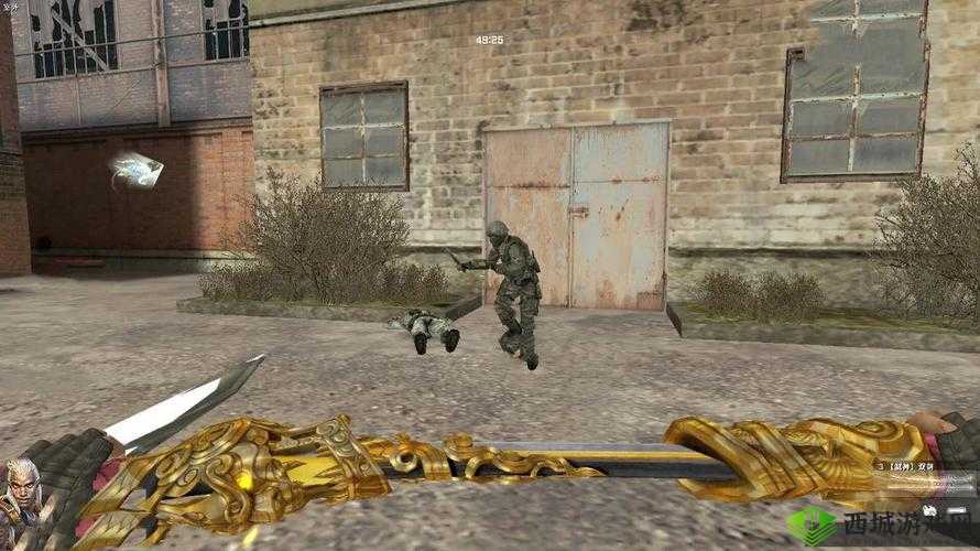 反恐精英：弑神双剑如何开启剑阵