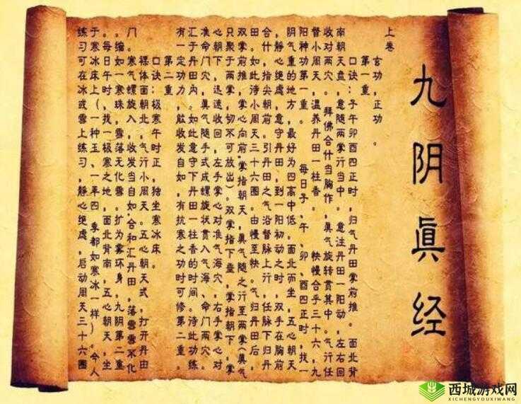 九阴真经 x88888：一部神奇的秘籍