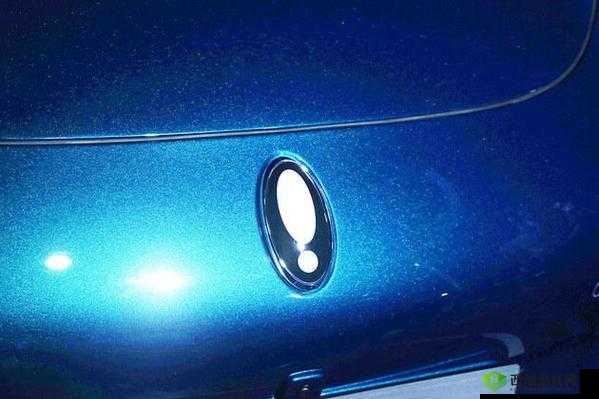 XXXXXL19-2021:全新的独特标识