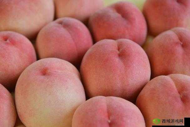 欧产日产国色天香水蜜桃:水蜜桃中的贵族
