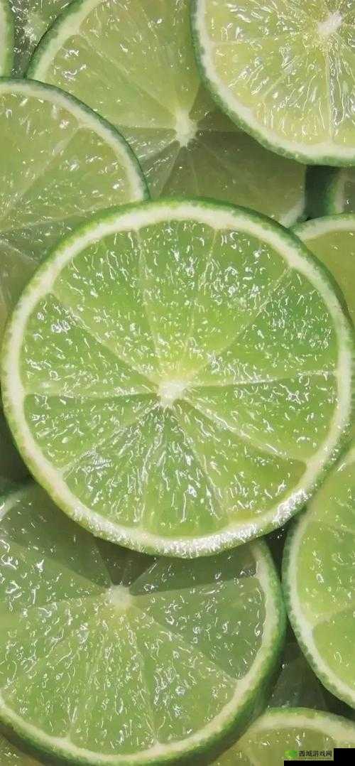 14gd18_XXXXXL56 相关内容介绍