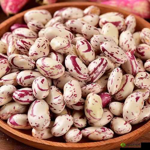 麻花豆精产三产区区别：特点与差异分析