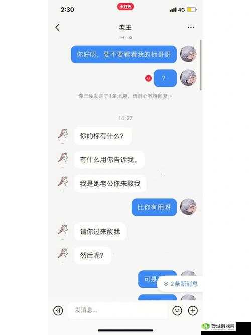 共享双胞胎齐娜齐琳：神秘的姐妹花