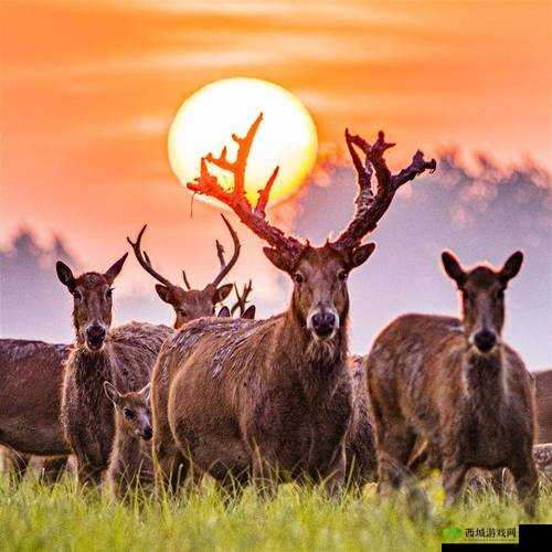 为升职请张行长给他最高级的待遇:背后的故事