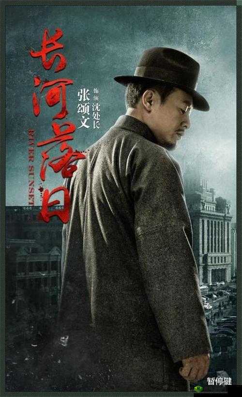 凌晨三点半看高清 502 集电视剧:独特的观剧时刻