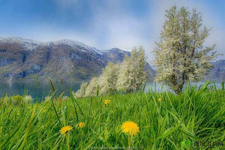 我在野外截取一段视频:奇妙的自然瞬间