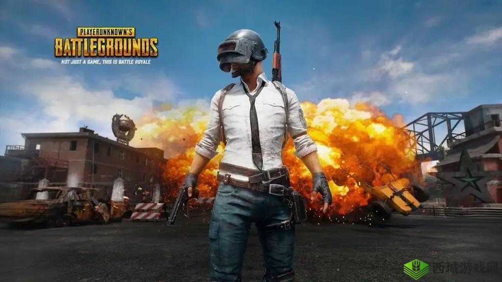 刺激战场未满十八岁：游戏限制与成长关怀