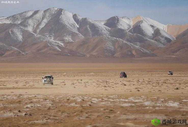 神秘无人区：探索 6228 的未知领域