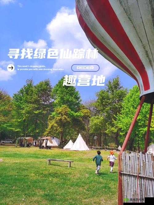 仙踪林 COMPANY LIMITED：打造绿色健康茶饮