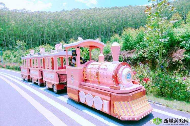 萌猫公园:萌趣游玩好去处