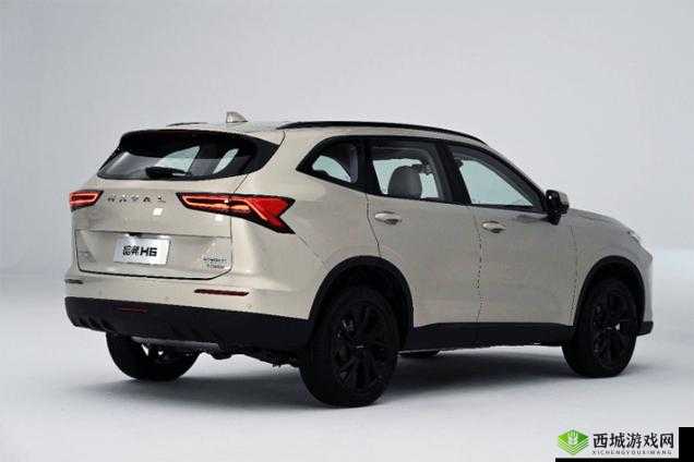 国产 SUV 精品一区二区四：优质车型推荐