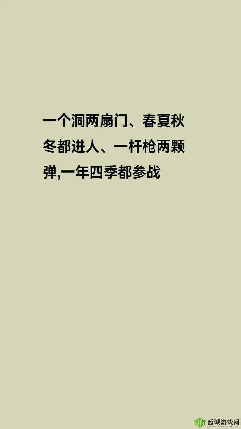 一个洞两扇门一杆枪：神秘的组合