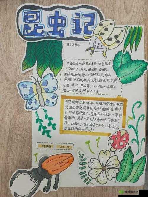 带颜色的电子书:精彩世界等你来探索