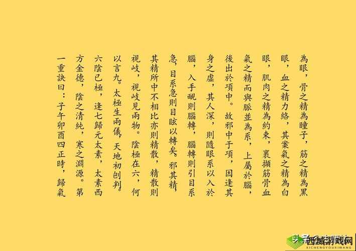 探索江湖奇景,领略冒险之乐——九阴真经 3D剧情副本玩法全揭秘