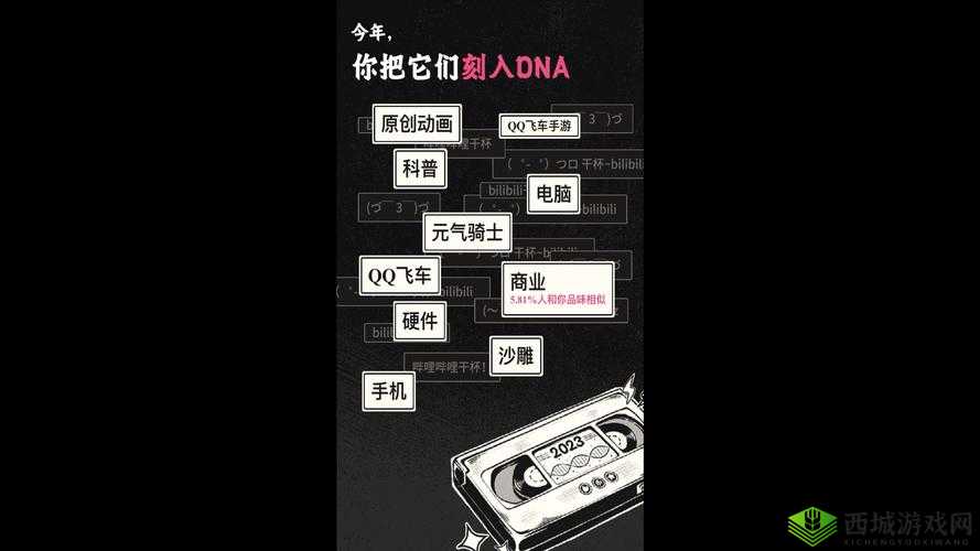 B站大全 2023 年更新:内容全面升级