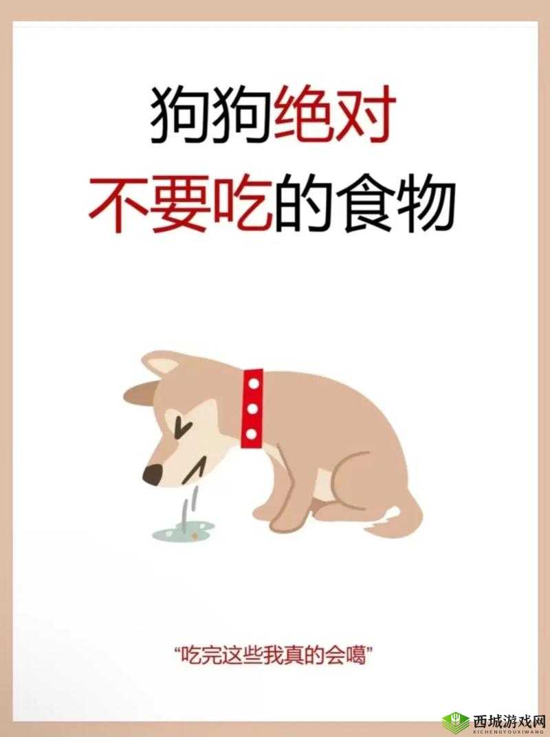 人狗胶配方大全:狗狗一天吃多少