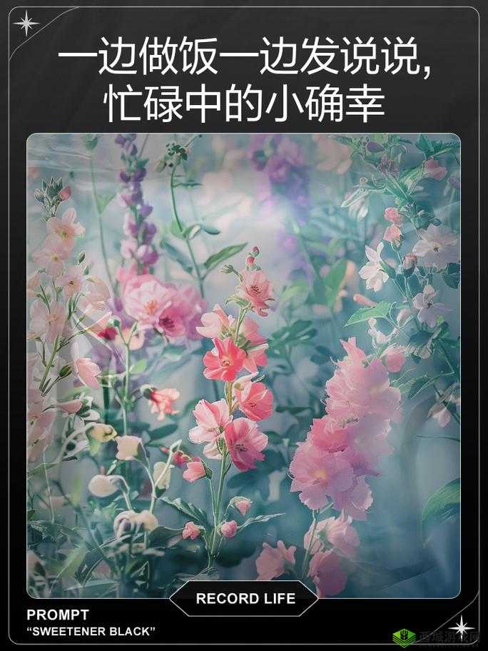 一边做饭一边狂做最有效的一句:揭示生活妙方