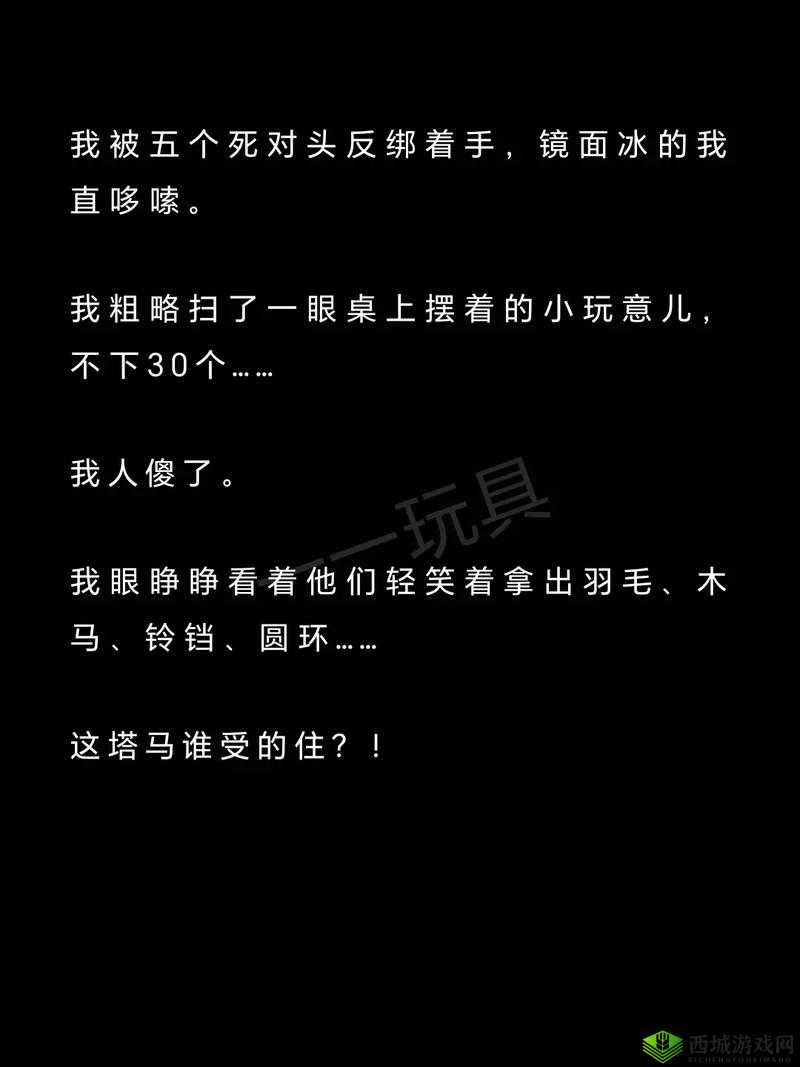 测试小玩具双男主的趣味探索