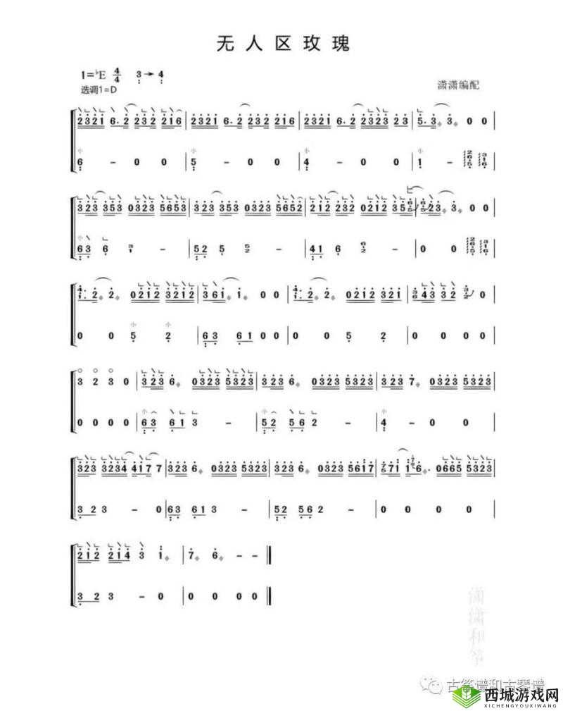 放一首无人区玫瑰,感受独特旋律