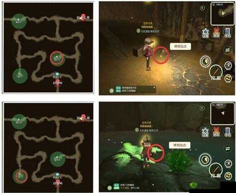 小森生活稀有甲虫捕捉地点