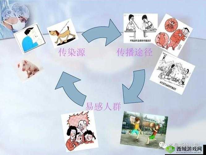 果冻传染煤 A 斤:探寻其传播路径与影响