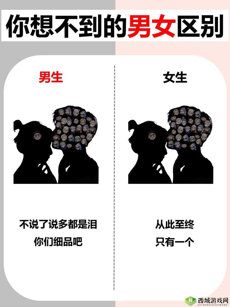 男女之间的差异：探讨性别差异的奥秘