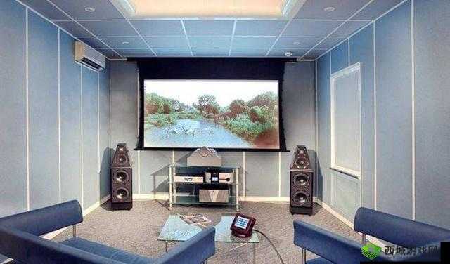 成都私人家庭影院：打造极致视听盛宴的竞争力
