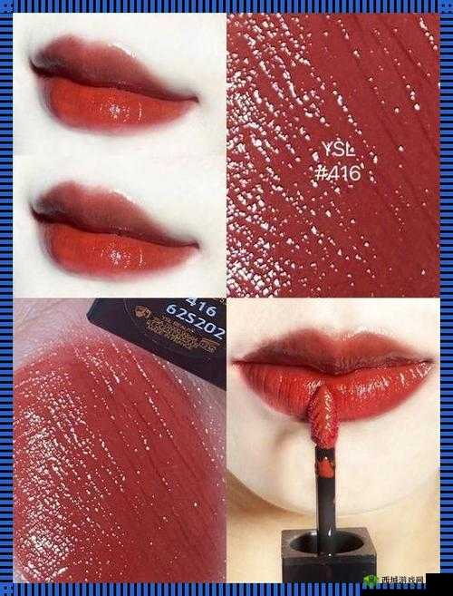 YSL 千人千色口红 T9 魅力无限
