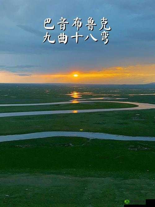 桂花婶是九曲十八弯：其故事丰富多彩