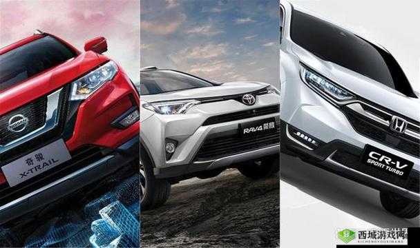 国产日产欧产精品浪潮的隐私保护:至关重要