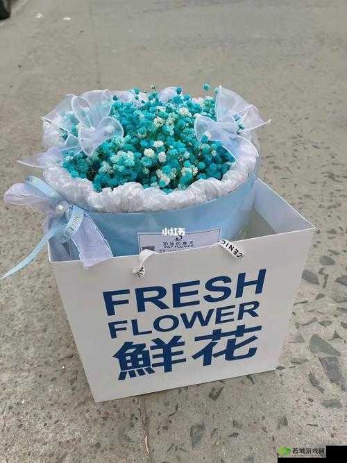 俄罗斯学院满天星:美丽与智慧的象征