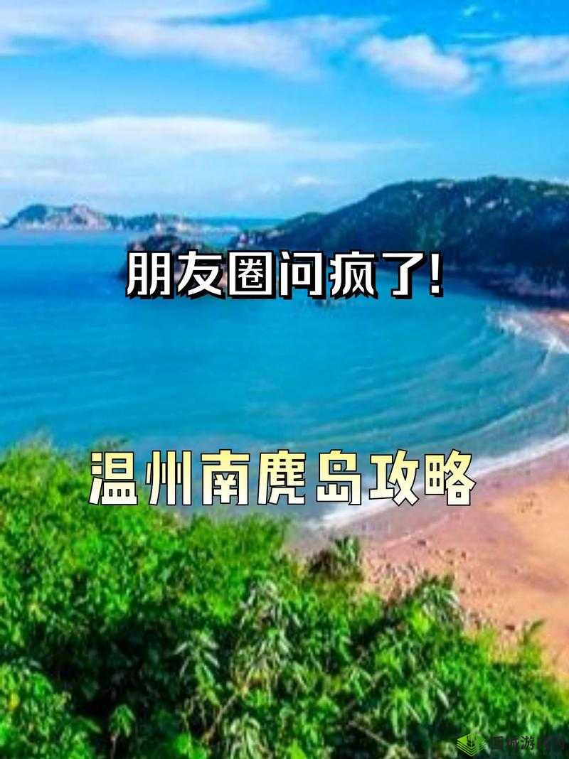 91 免费版:全新体验等你来探索